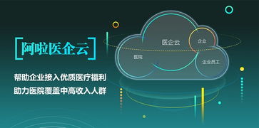 互联网时代与企业共享优质医疗服务的创新模式